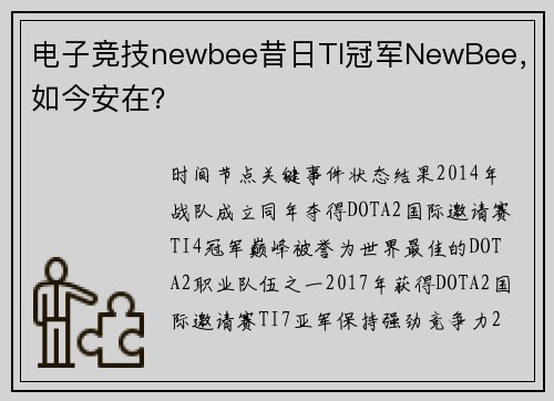 电子竞技newbee昔日TI冠军NewBee，如今安在？